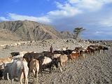 TANZANIA - 1096